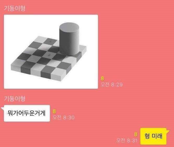 팩폭 쩌는 친동생 | 인스티즈