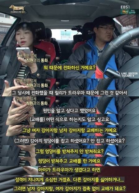 [세나개] 반려견을 업체에서 강제 교배를 하면 안되는 이유.jpgif | 인스티즈