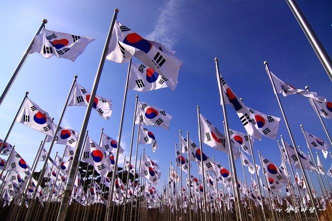 일본인들이 많이 사는 한국 제품은? .. 일본반응.txt | 인스티즈