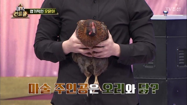 최현우 충격 엽기적인 동물마술 | 인스티즈