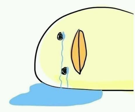 똥꼬에게 사과정도는 해라 | 인스티즈