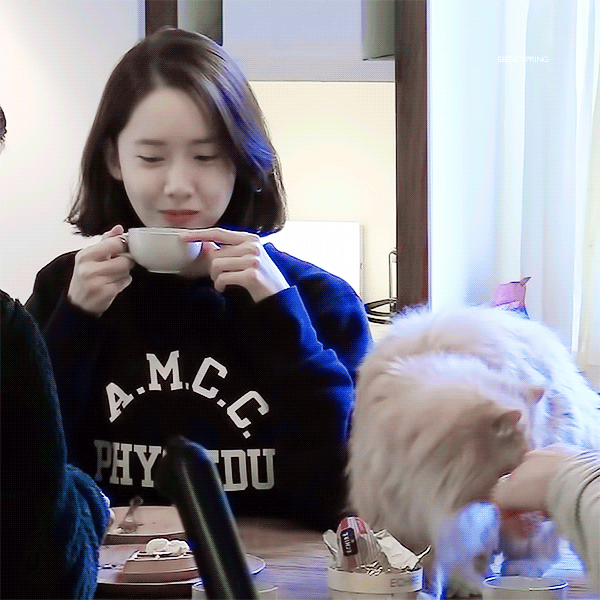 윤아언니가 너무 예뻐 말문 막힌 유도선수동생들.jpgif | 인스티즈