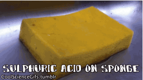 신기한 화학반응 짤(혐오주의) | 인스티즈