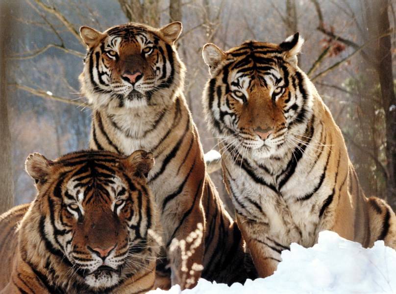 사진속 숨어있는 한글을 찾아보세요 | 인스티즈