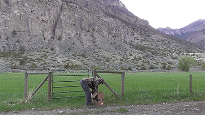 다리 다친 아기사슴을 구해주면 생기는 일.gif (데이터30MB) | 인스티즈