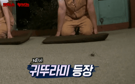 [아빠를부탁해] 귀뚜라미에 질겁하는 예림이 [움짤많아요] | 인스티즈