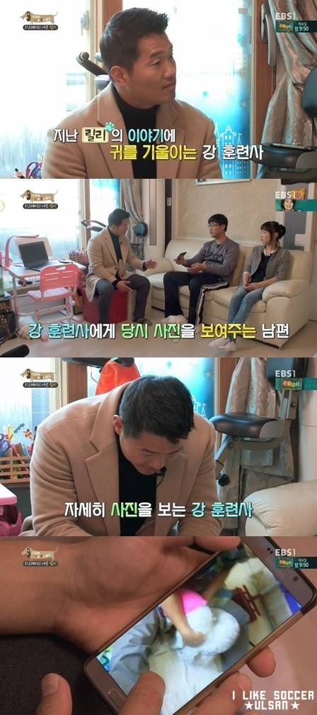 [세나개] 반려견을 업체에서 강제 교배를 하면 안되는 이유.jpgif | 인스티즈