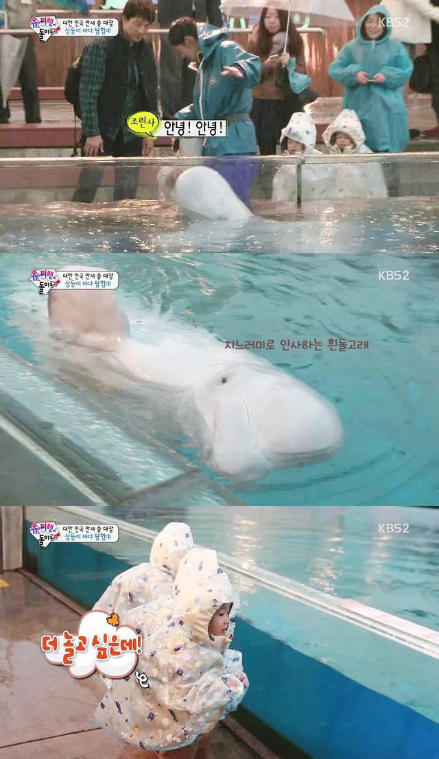 [슈퍼맨이돌아왔다] 아이들의 순수함이 보였던 삼둥이 수족관 에피♡.jpg | 인스티즈