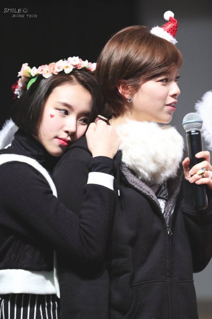 형제 같은 트와이스 멤버 .gif | 인스티즈