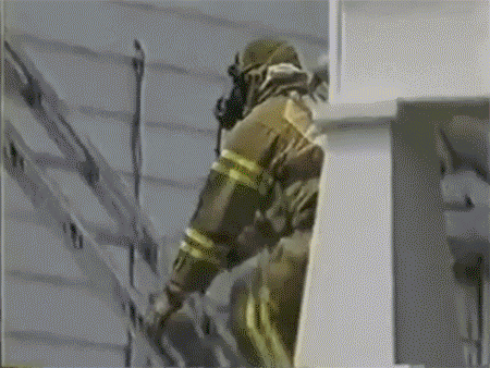 제발 이 아이를 데려가지 마소서.gif | 인스티즈