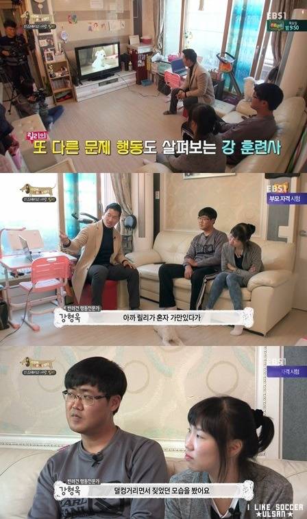 [세나개] 반려견을 업체에서 강제 교배를 하면 안되는 이유.jpgif | 인스티즈