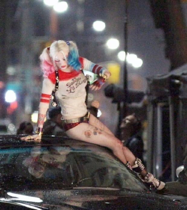 마고로비 할리퀸 | 인스티즈