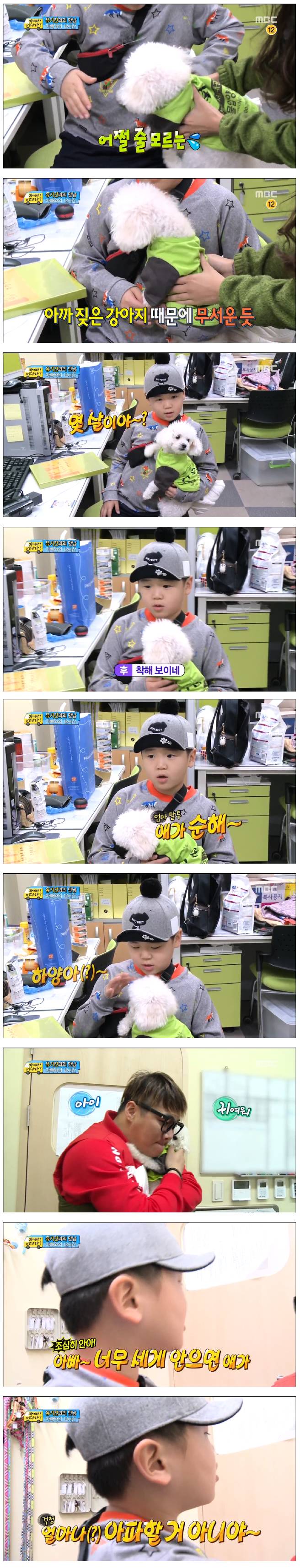 [아빠어디가] 사랑둥이 윤후의 유기견 보호소에서 봉사활동 (feat.테레사 후녀) | 인스티즈