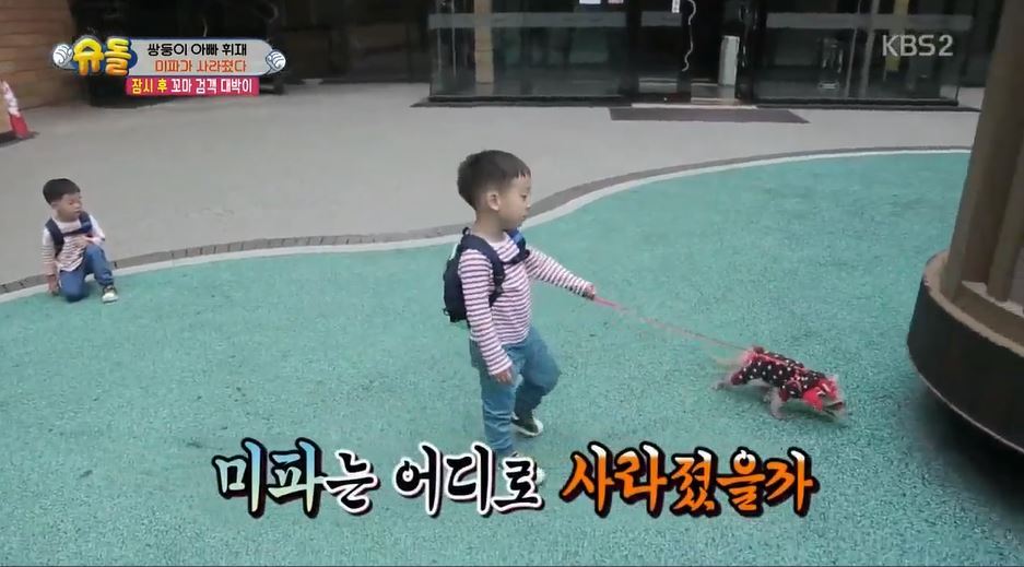 서언이 서준이 보면서 놀란 아이들의 감정 | 인스티즈