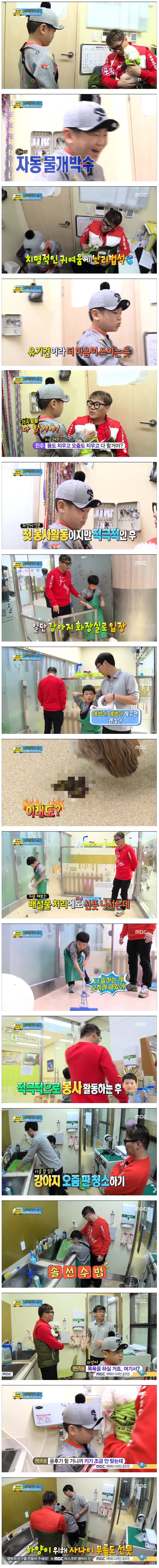 [아빠어디가] 사랑둥이 윤후의 유기견 보호소에서 봉사활동 (feat.테레사 후녀) | 인스티즈