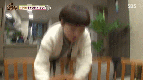 포메라니안의 사자 코스프레.gif | 인스티즈