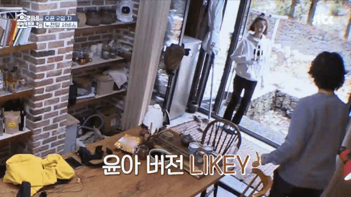 트와이스 라이키추는 효리네 민박.gif | 인스티즈