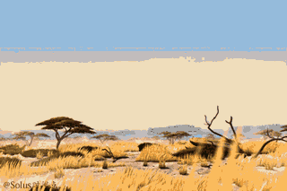 세상에 동물들이 통통하다면[환공포증주의] | 인스티즈