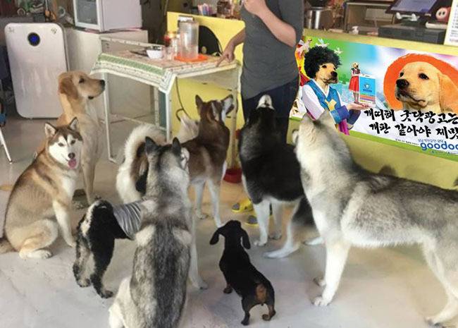 마케터가 이라는 이유 (feat.네티즌들의 농락) | 인스티즈