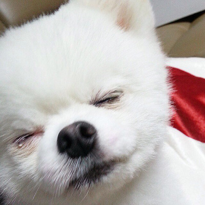 아내를 쫓아내고 딸을 발로 차서 죽인 조선시대의 학자.txt(feat.조선왕조실록의 위엄) | 인스티즈