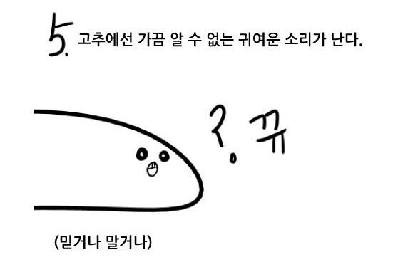 여자들은 모르는 남자 꼬추의 비밀 | 인스티즈