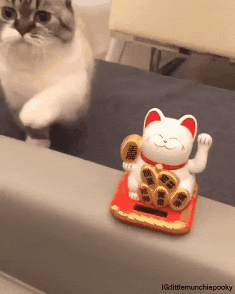 내가 더 잘한다 | 인스티즈