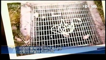 개인적으로 뽑은 그것이 알고싶다 연도별 베스트 | 인스티즈