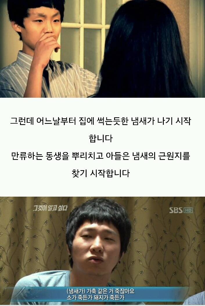 그것이 알고싶다-주검으로 돌아온 엄마의 한 달 | 인스티즈