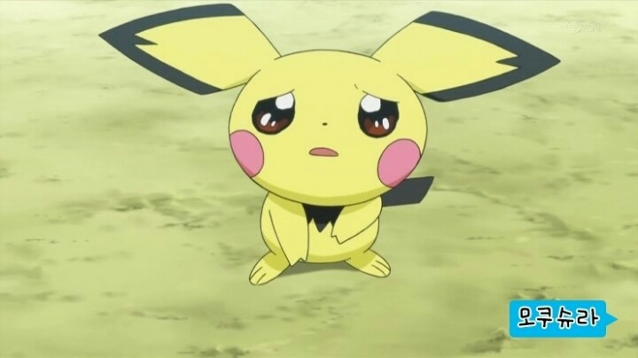 어떤 포켓몬이 제일 귀여워? 하고 물으신다면 대답해드리는게 인지상정 | 인스티즈