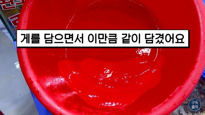 대게나 킹크랩 살 때 바가지 안 당하는 방법 | 인스티즈