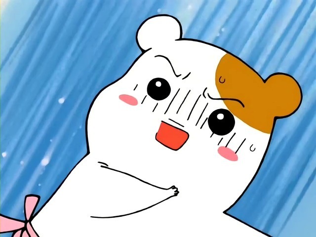 똥꼬에게 사과정도는 해라 | 인스티즈