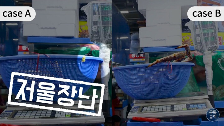 대게나 킹크랩살때 바가지 안당하는 방법!!! | 인스티즈