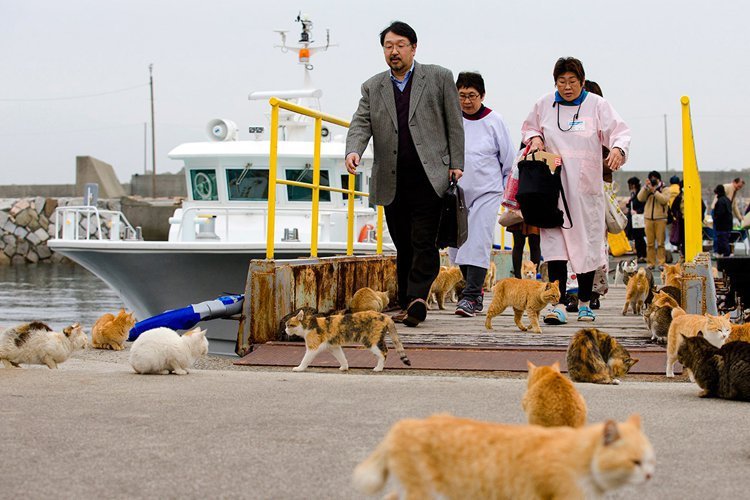 시간 나면 꼭 놀러 가보고 싶은 세계의 이상한 마을 7곳 | 인스티즈