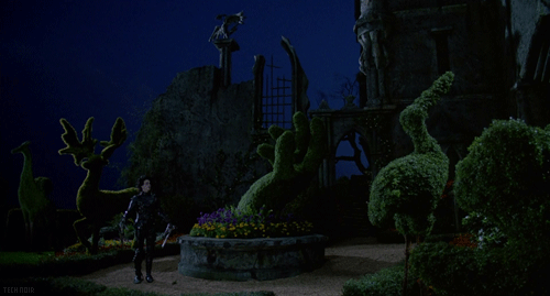 언젠가 너를 사랑한 적이 있다 | 인스티즈