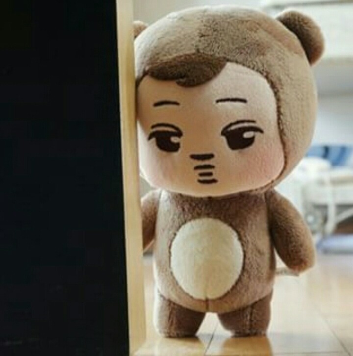 인형사기당한 엑소팬.jpg | 인스티즈