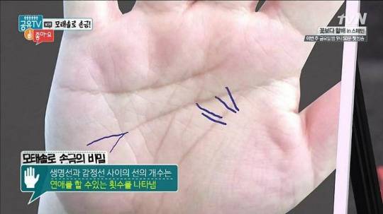 자기 인생에서 연애 할 수 있는 횟수를 나타나는 손금 | 인스티즈