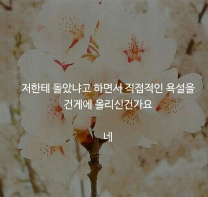 건게웃 레전드 모음 .JPG | 인스티즈