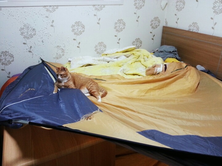 집사가 난방텐트를 사면 안되는 이유.jpg | 인스티즈