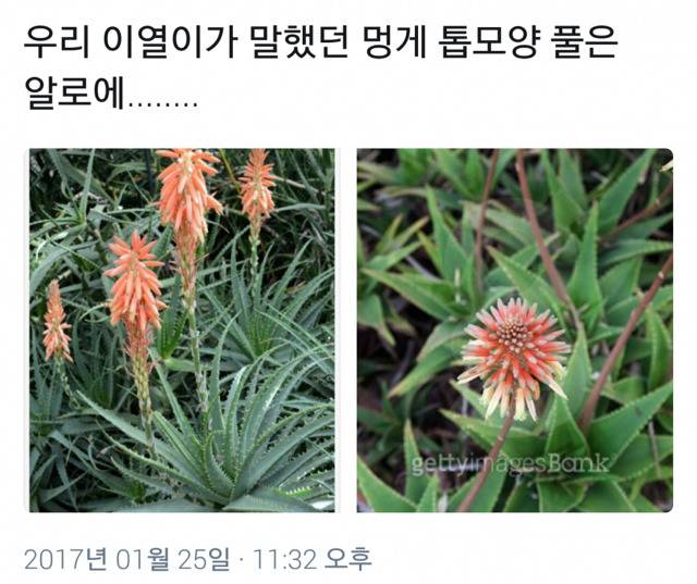 [미씽나인] 소름돋는 이열-알로에 궁예.txt (피 주의) | 인스티즈