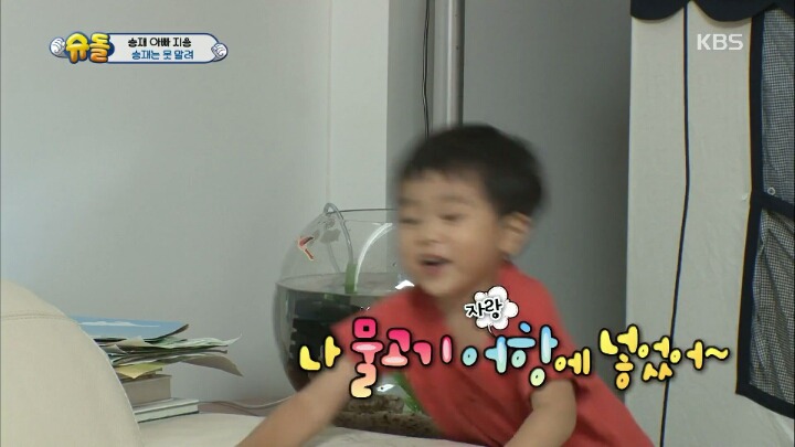 아빠의 중요 파일이 담긴 죽은 물고기를 어항에 넣어준 승재.jpg | 인스티즈