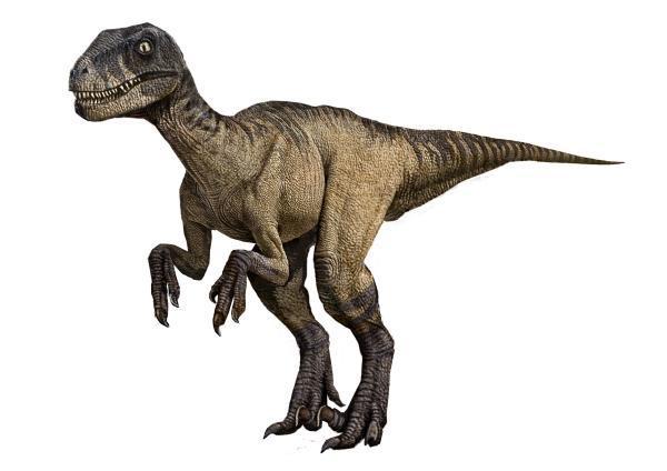 공룡은 실제로 어떻게 생겼을까? 공룡 복원도를 믿기 힘든 이유 | 인스티즈
