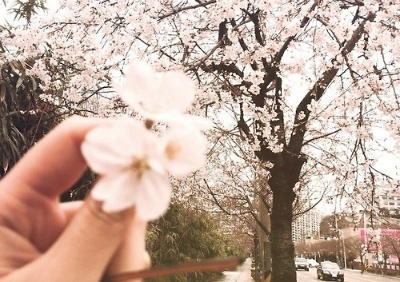  예쁜 예감이 들었다 우리는 언제나 손을 잡고 있게 될 것이다 | 인스티즈