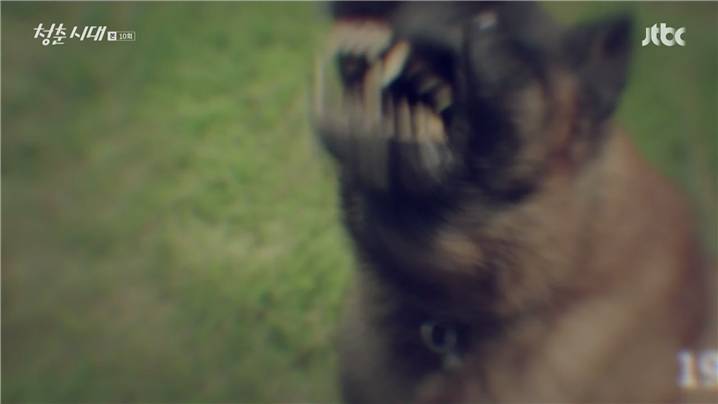 [드라마] 청춘시대 시즌1 51 | 인스티즈