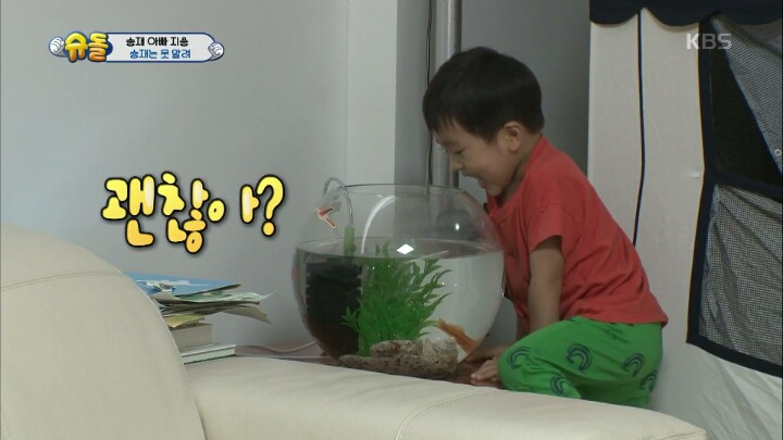 아빠의 중요 파일이 담긴 죽은 물고기를 어항에 넣어준 승재.jpg | 인스티즈