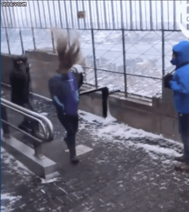 회오리 머리.gif | 인스티즈