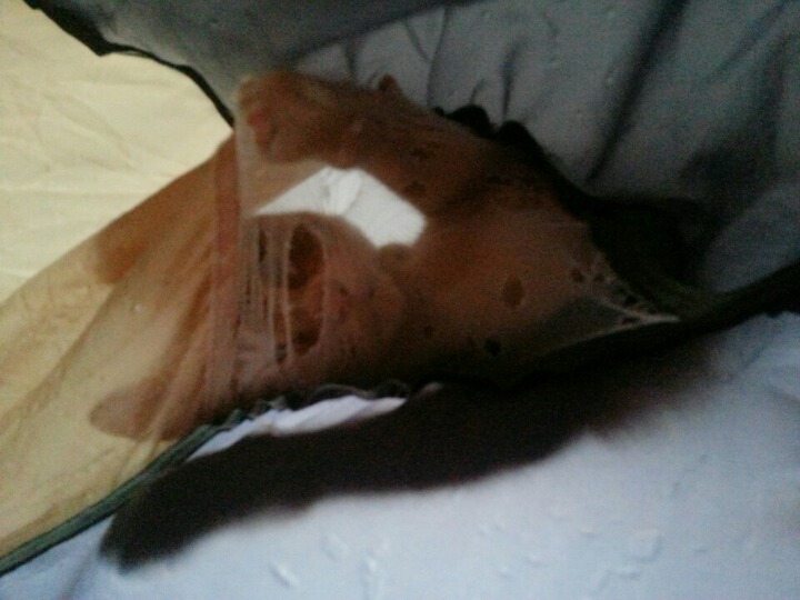 집사가 난방텐트를 사면 안되는 이유.jpg | 인스티즈