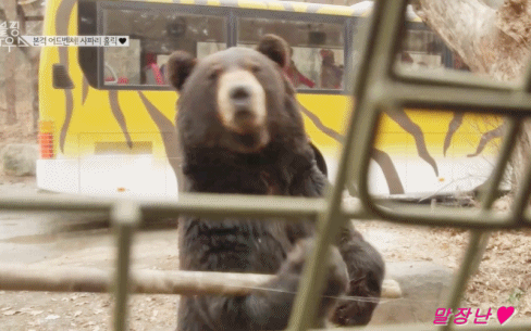 데이터주의) 블랙핑크 블핑하우스 6화 움짤 part3 | 인스티즈