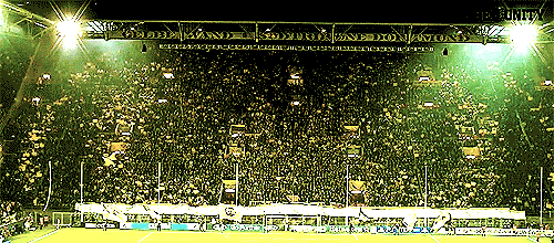 역대급 카섹.gif | 인스티즈