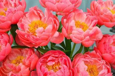  예쁜 예감이 들었다 우리는 언제나 손을 잡고 있게 될 것이다 | 인스티즈