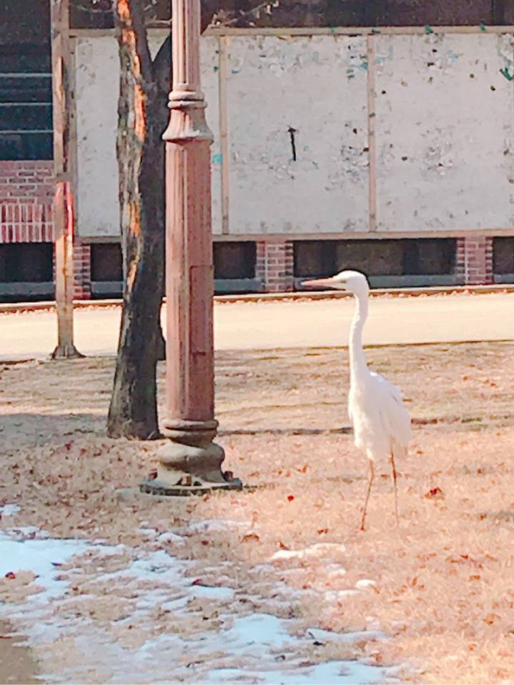 대학 에코 캠퍼스 甲.jpg | 인스티즈